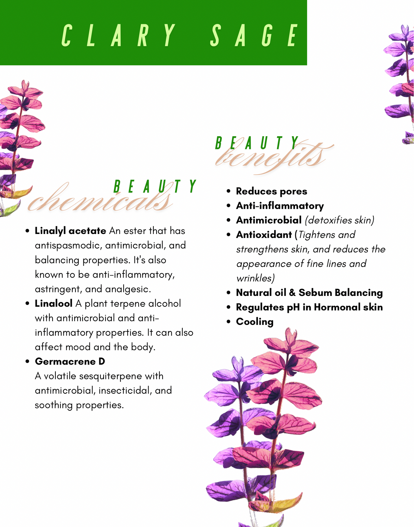 Flower Water Face Toner