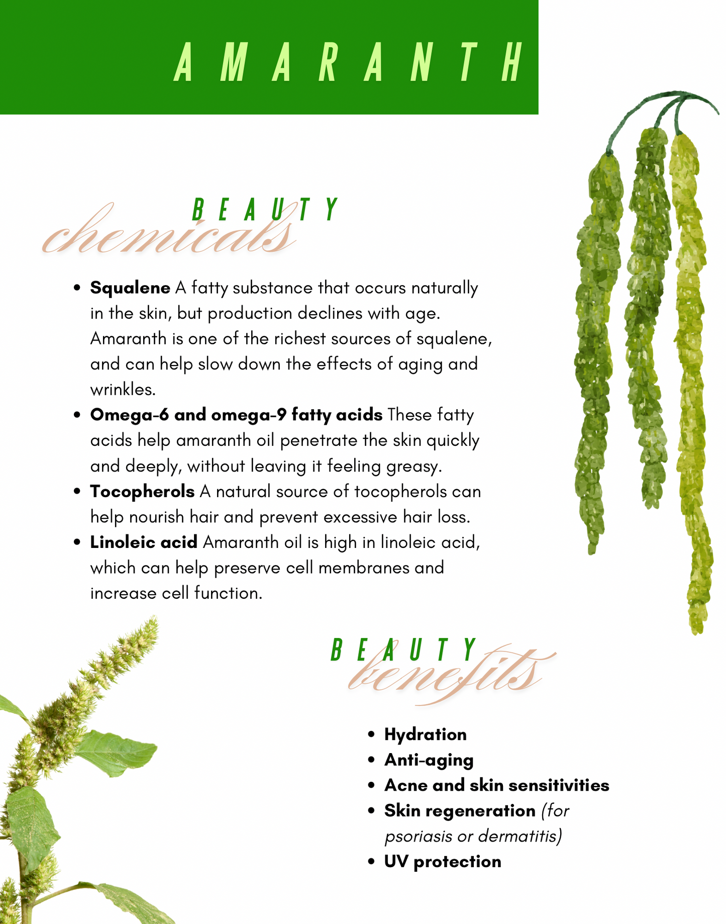 Flower Water Face Toner Set