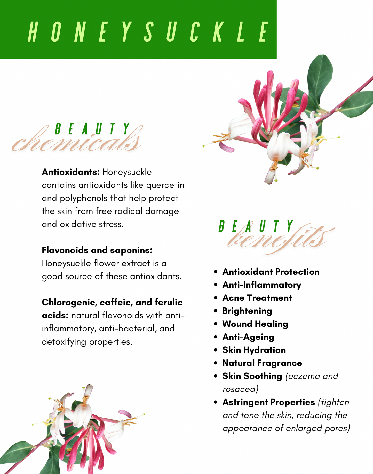 Flower Water Face Toner Set