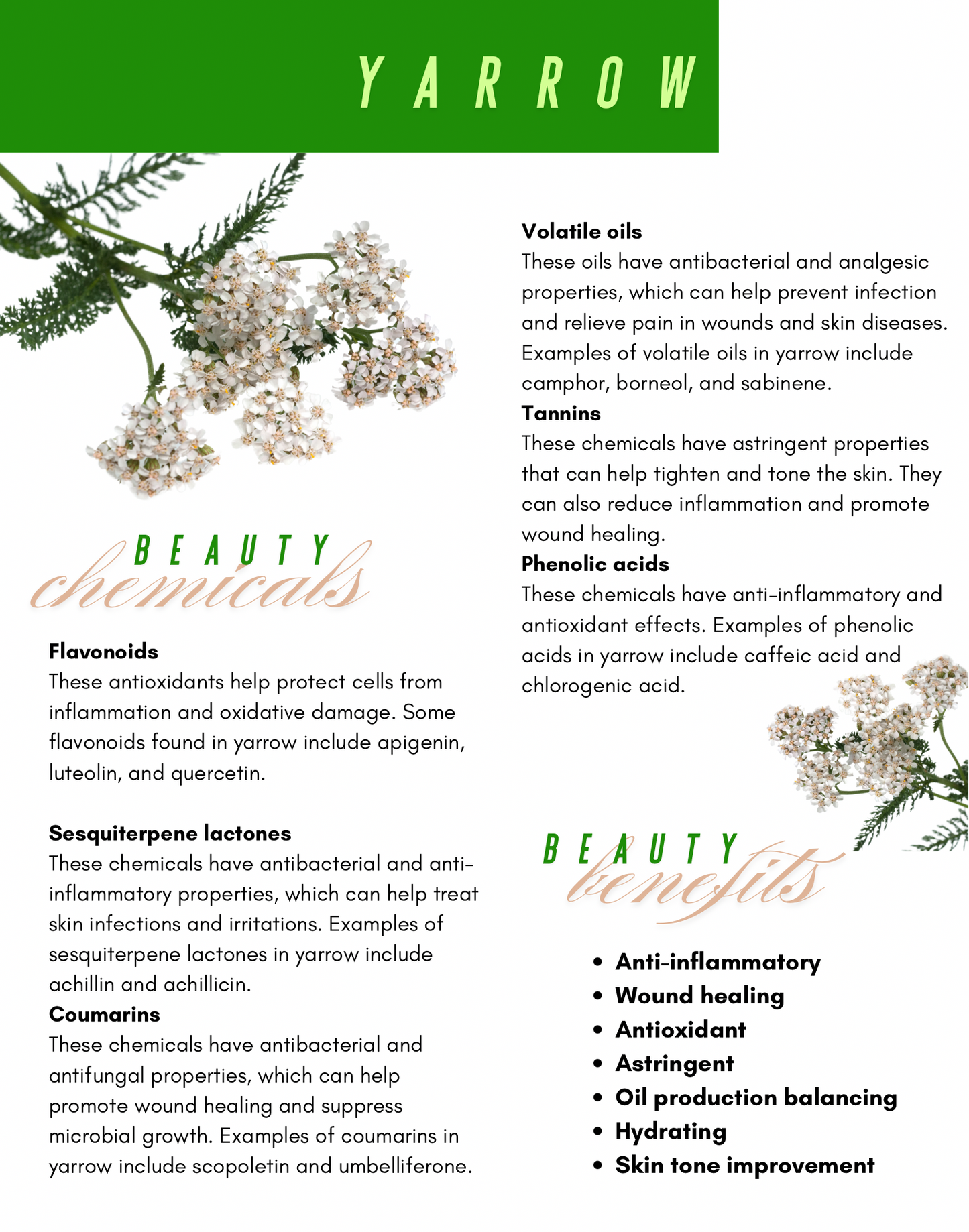 Flower Water Face Toner