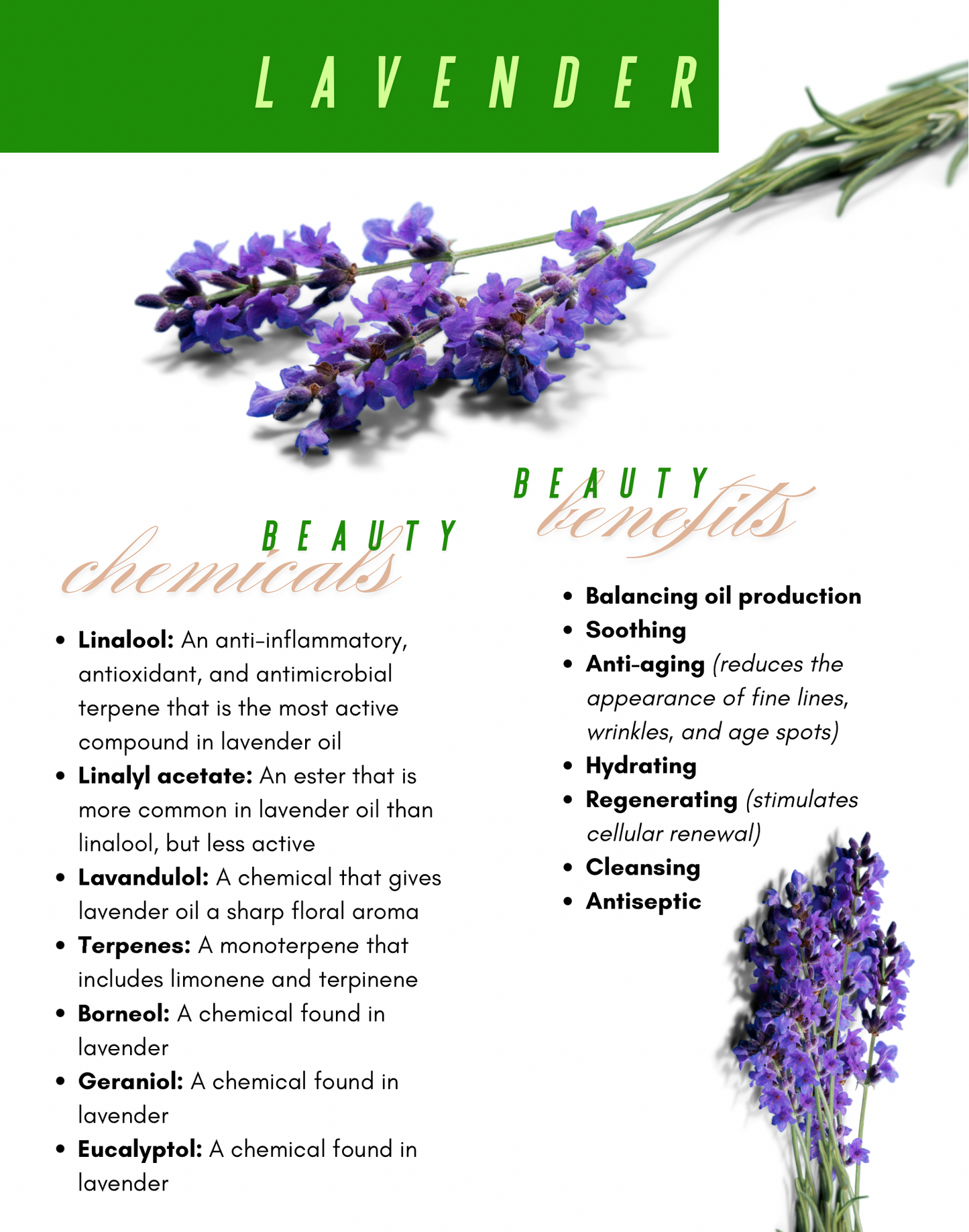 Flower Water Face Toner Set